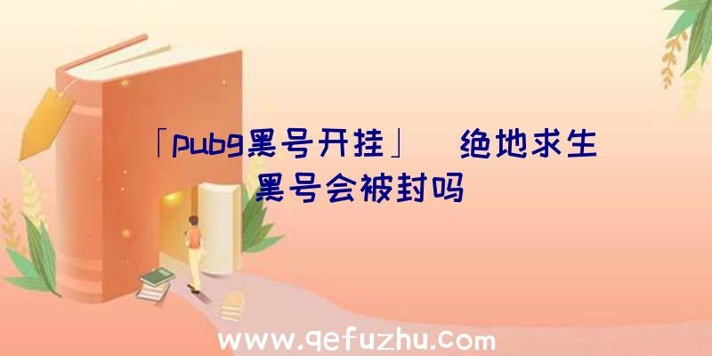 「pubg黑号开挂」|绝地求生黑号会被封吗